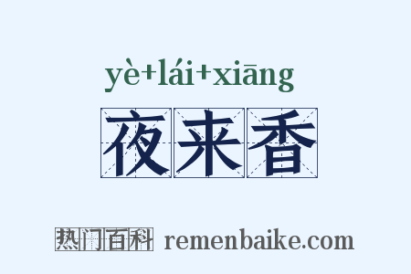 夜来香是什么意思的图片